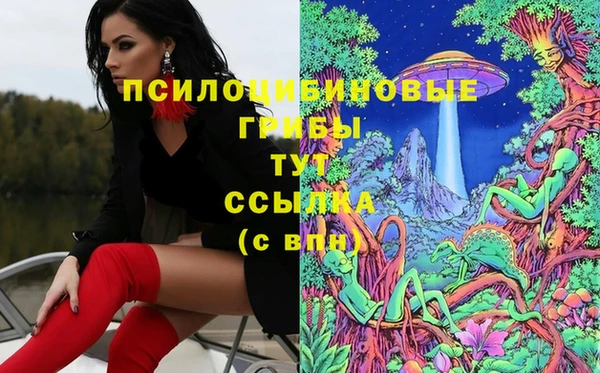 MDMA Алексин