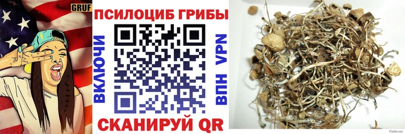 где продают   Звенигово  Псилоцибиновые грибы мухоморы 